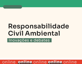 Responsabilidade Civil Ambiental: Inovações e debates