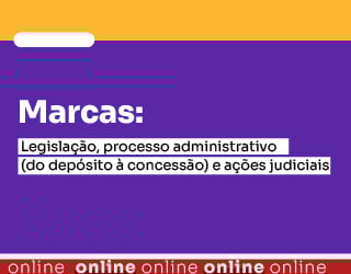 Marcas: Legislação, processo administrativo (do depósito à concessão) e ações judiciais