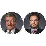 O Projeto do Novo Código Florestal Brasileiro