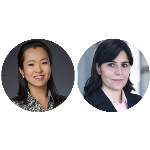 Responsabilidade solidária pela formação de grupo econômico