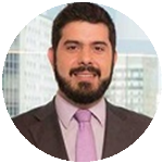 A lei 12.846/13 ("lei anticorrupção") e a MP 703/15