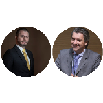 Um Estatuto da democracia e da cidadania