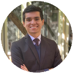 Maus tratos de animais e proporcionalidade: um novo capítulo