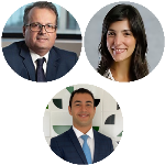 A origem do parágrafo único do art. 40 da LPI