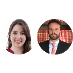 A opção pela mediação ad hoc ou institucional