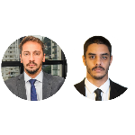 Efeitos legislativos negativos do ANPP