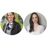 Código Florestal: pela segurança jurídica, STF e STJ precisam dialogar