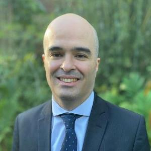A presunção do nexo causal: teorias e reflexões