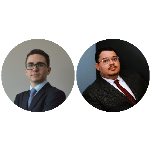 Esfera de aplicação da CISG - uma análise atual