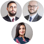 Proteção de dados pessoais e seu novo status como um direito fundamental