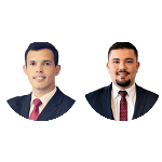 A teoria dos negócios jurídicos processuais e sua aplicabilidade no ordenamento jurídico