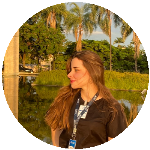 Democracia representativa e direitos individuais: uma breve dialética sobre o modelo político adotado pelo Brasil