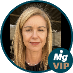 A interpretação constitucional de Hans Kelsen e Carl Schmitt