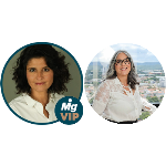 A violência patrimonial doméstica e a necessária revogação das escusas absolutórias. Imediata aprovação do PL 3.764-B/04