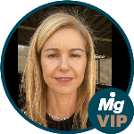 O paradoxal sistema brasileiro dos precedentes