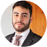 Fake news, crimes antidemocráticos e seus impactos no processo eleitoral: A responsabilização dos provedores de internet para garantia da lisura do processo eleitoral