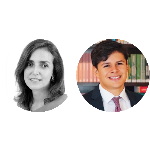 A regulamentação da relevância à luz do sistema da repercussão geral extinguirá a função revisora do STJ?