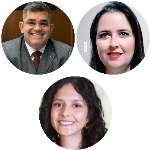 A expansão do papel das guardas municipais: Análise da decisão do STF e seus impactos na segurança pública brasileira