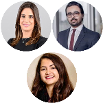 Nova lei de concessões: Amadurecimento do sistema jurídico da infraestrutura como meio de atração de investimentos