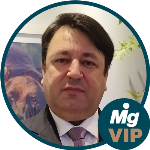 A lei Magnitsky em pauta: Como ficam os direitos individuais?