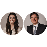 A business judgement rule e a responsabilidade civil dos administradores de sociedades anônimas no Direito brasileiro