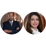 O princípio da deferência e o STF: O confronto entre decisões de órgãos técnicos e o controle judicial O princípio da deferência e o STF: O confronto entre decisões de órgãos técnicos e o controle judicial