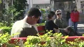 dr. Pintassilgo: Jacarei/SP