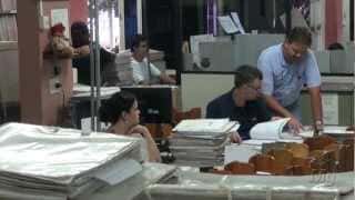 dr. Pintassilgo: Guará/SP