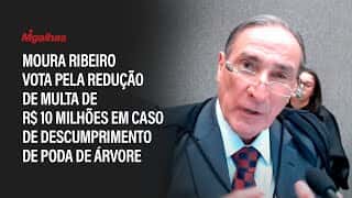 Moura Ribeiro vota pela redução de multa de R$10 milhões em caso de descumprimento de poda de árvore