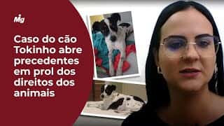 Caso do cão Tokinho abre precedentes em defesa aos direitos dos animais, diz Isabella Godoy Danesi