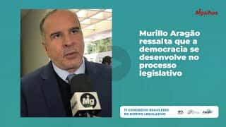 Murillo Aragão ressalta que a democracia se desenvolve no processo legislativo