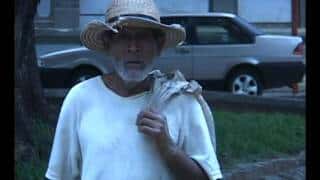 dr. Pintassilgo: Ribeirão Bonito/SP