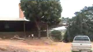 dr. Pintassilgo: Cássia/MG