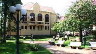 dr. Pintassilgo: Araras