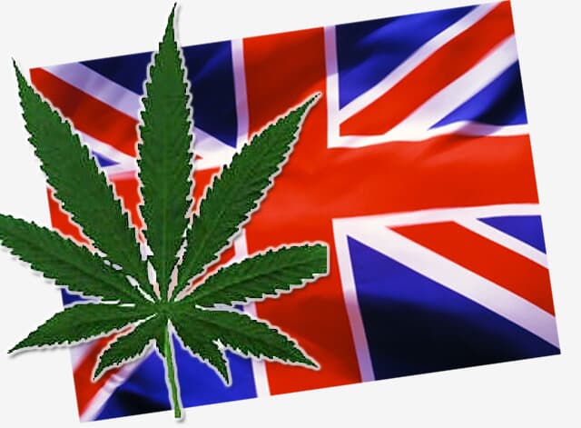 Inglaterra rediscute a descriminalização da maconha