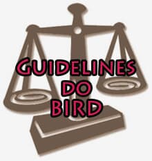 Da aplicabilidade das guidelines do BIRD ao ordenamento jurídico pátrio, porém limitada pelos princípios constitucionais das licitações públicas brasileiras