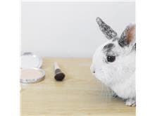 STF começa a julgar proibição de teste com animais para cosméticos