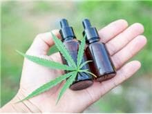 Cannabis: Comissão da Câmara aprova cultivo para fins medicinais