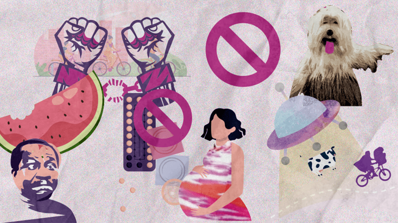 Conheça 5 leis esquisitas já criadas no Brasil