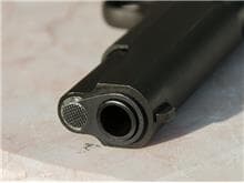 PSB contesta lei do DF que libera porte de arma a atirador desportivo