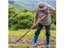 TRF-1 mantém absolvição de fazendeiros acusados de trabalho escravo