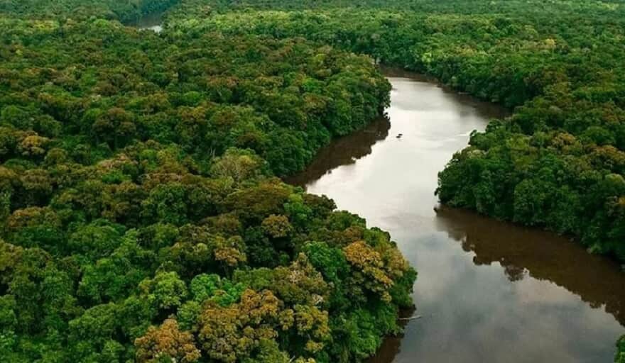 Floresta Amazônica (Imagem: Reprodução )