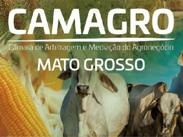  (Imagem: Divulgação)