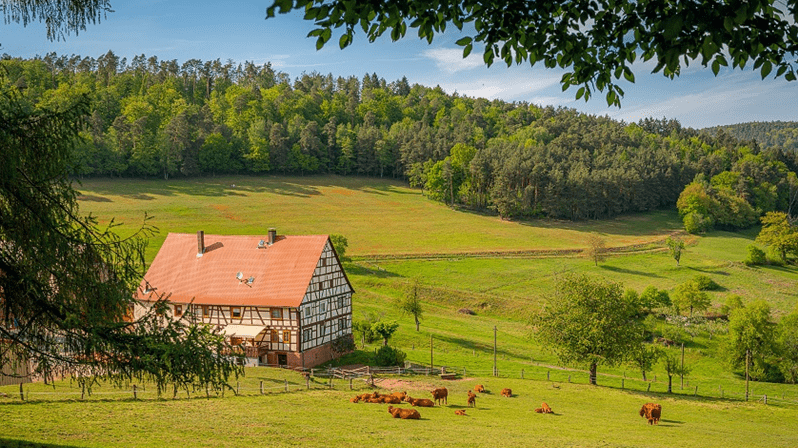 STJ: É ônus do executado provar pequena propriedade rural e exploração