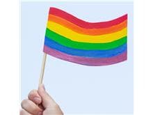 OAB/SP se junta à comunidade LGBTQIA+ para o Mês da Diversidade