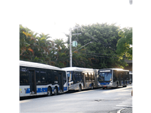 STF valida transporte público gratuito em dias de eleições