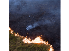 STF adia análise de desmatamento e queimadas da Amazônia e Pantanal