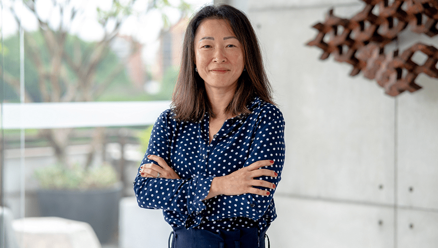  (Imagem: Divulgação)