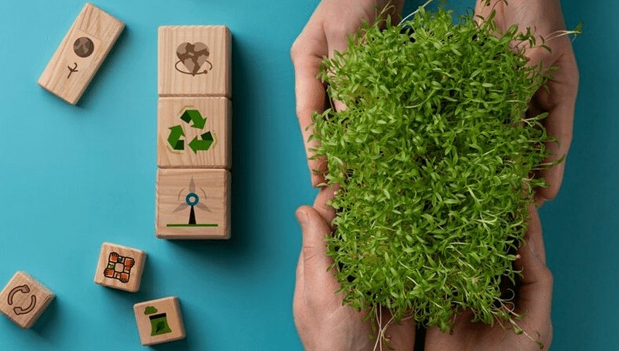 Trench Rossi Watanabe assessora Projeto Muçununga (Imagem: Freepik)