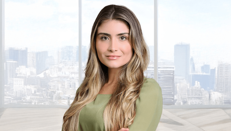  (Imagem: Divulgação/Di Blasi, Parente & Associados)